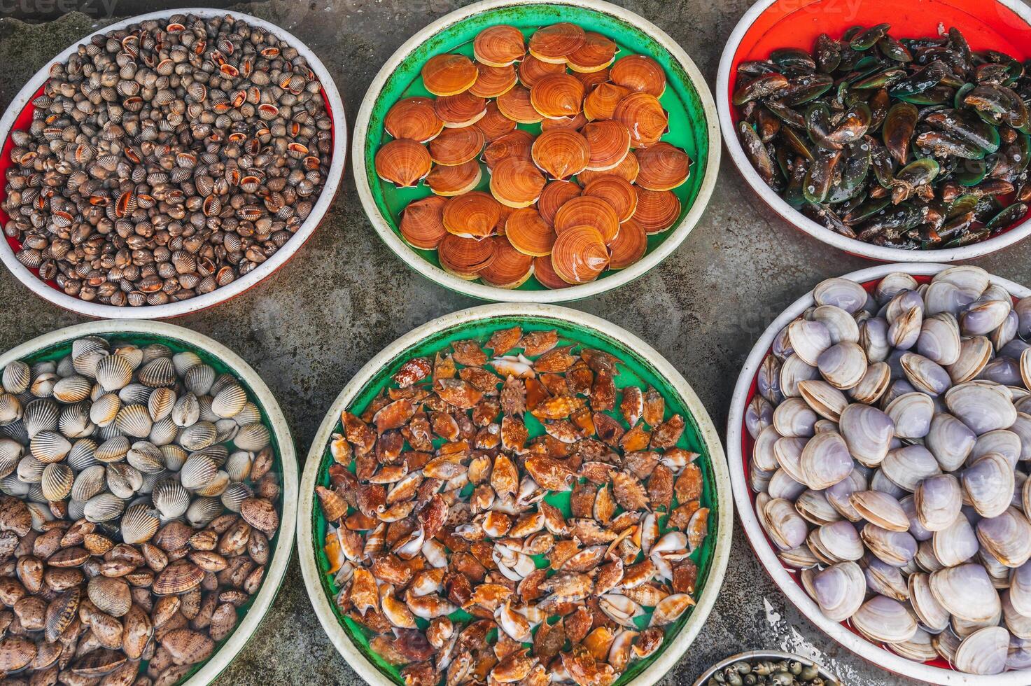 A variety of Fresh edible oysters, clams and scallops at the local market in Nha Trang, Vietnam. photo