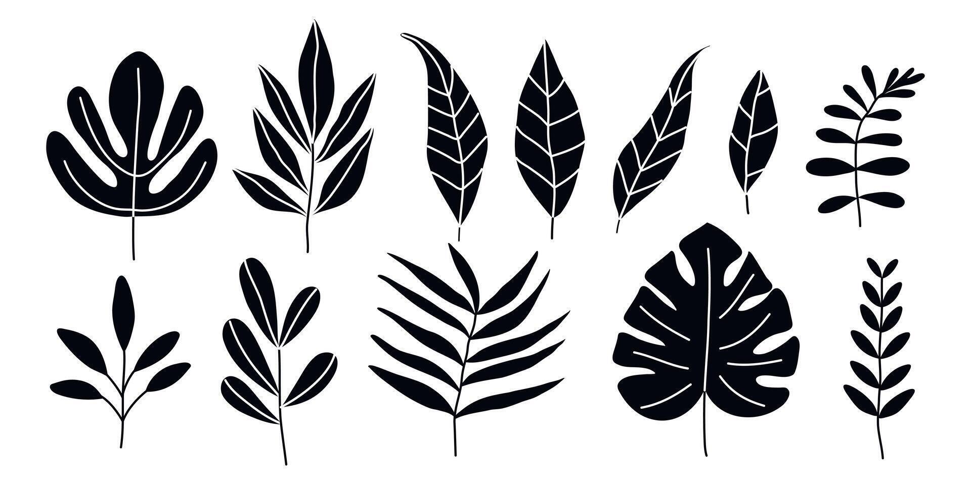 doodle tropical leaves set isolated on white background vector