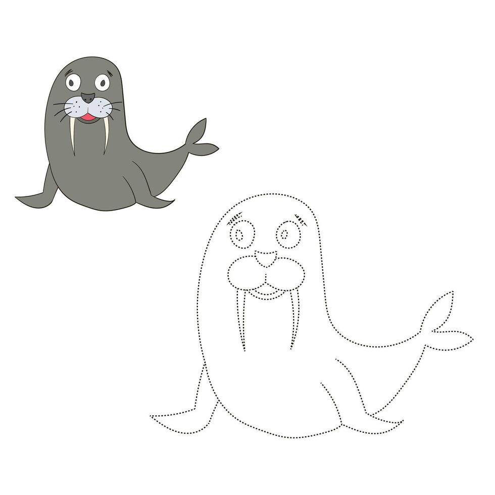 Connect the dots game seal walrus cartoon hand drawn doodle illustration vector
