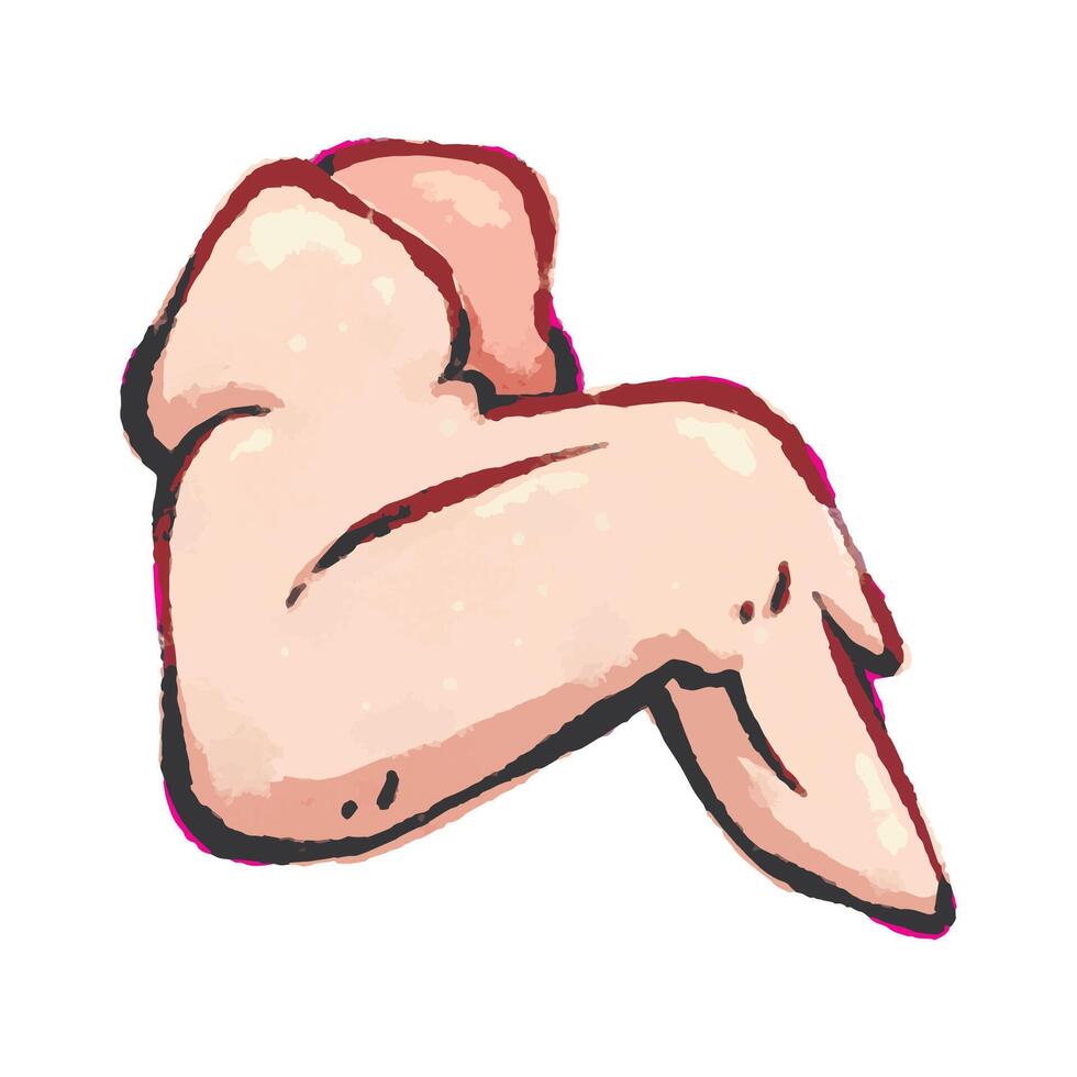 Raw chicken wing vector