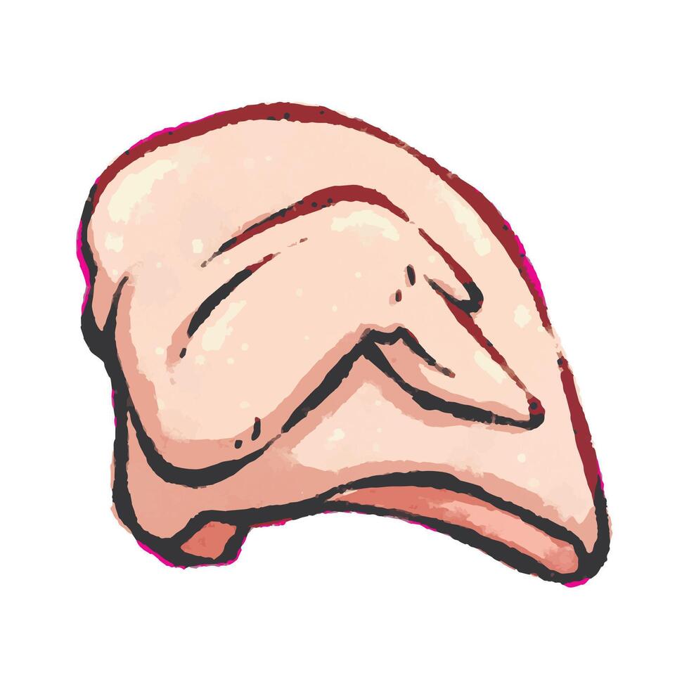 Raw chicken breast with wing vector