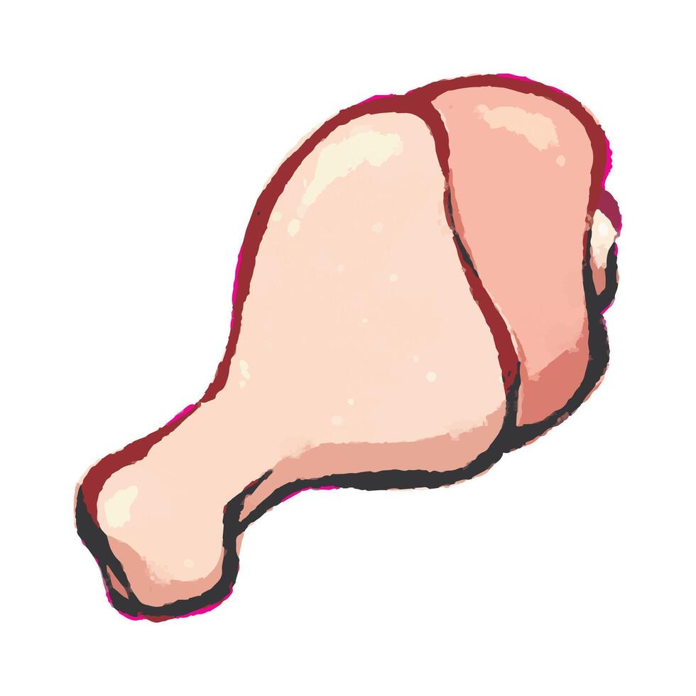 Raw chicken drumstick vector