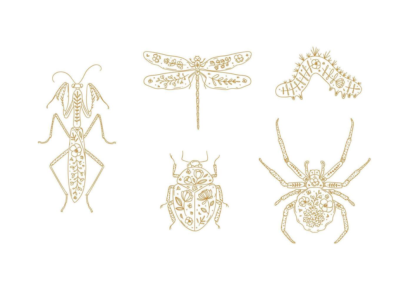 Beetles elements mantis, dragonfly, spider, caterpillar, insect drawing in floral style with beige on light background vector