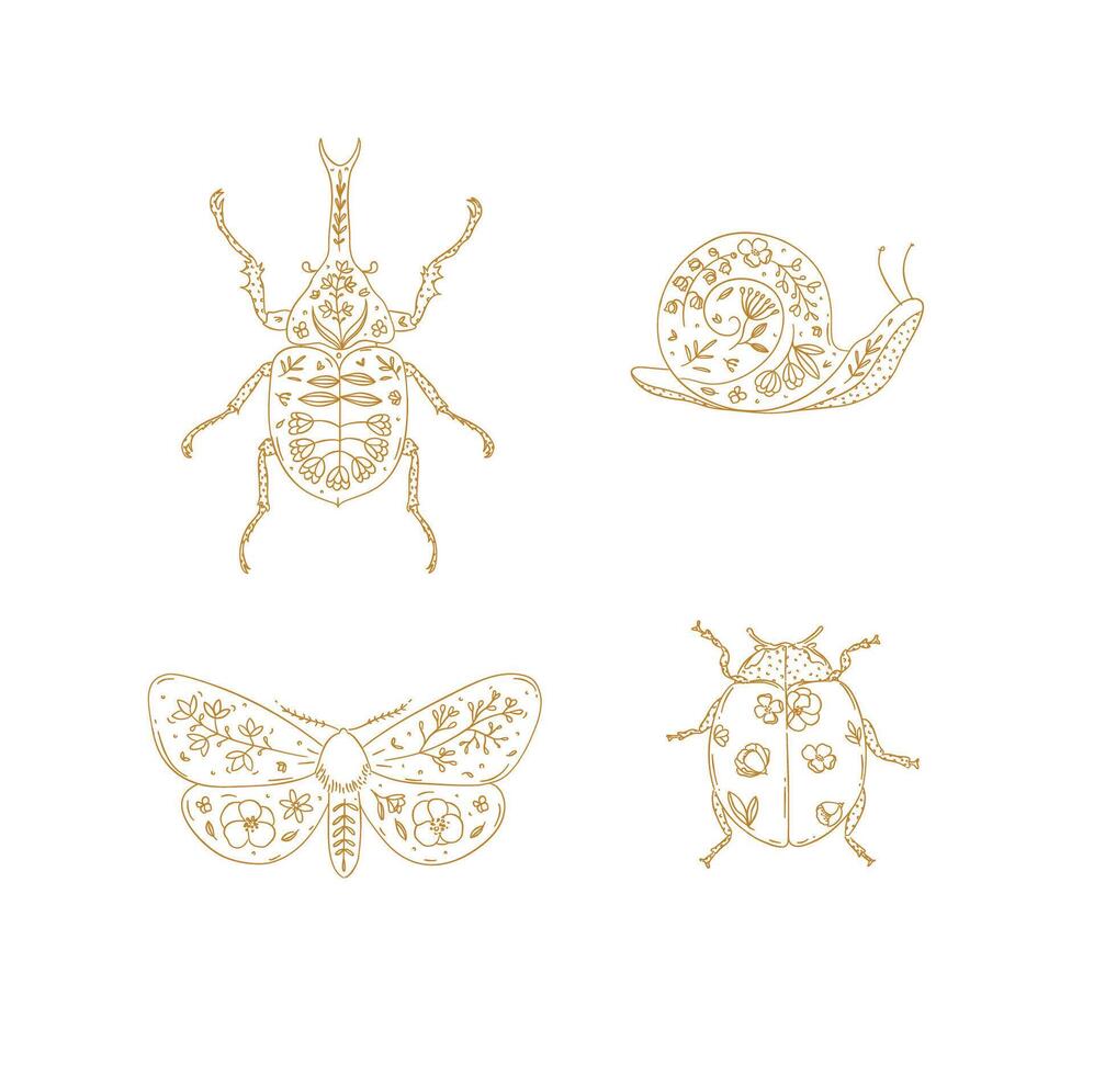 Beetles elements rhinoceros beetle, snail, moth, ladybug drawing in floral style with beige on light background vector