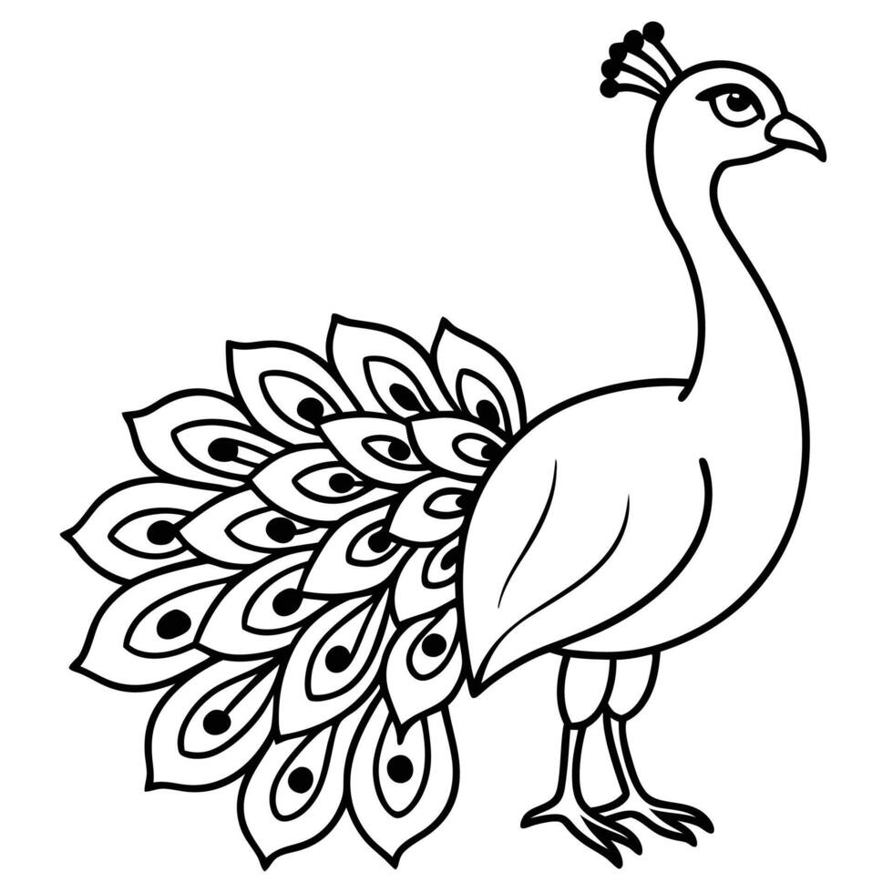 a peacock coloring page for kids vector
