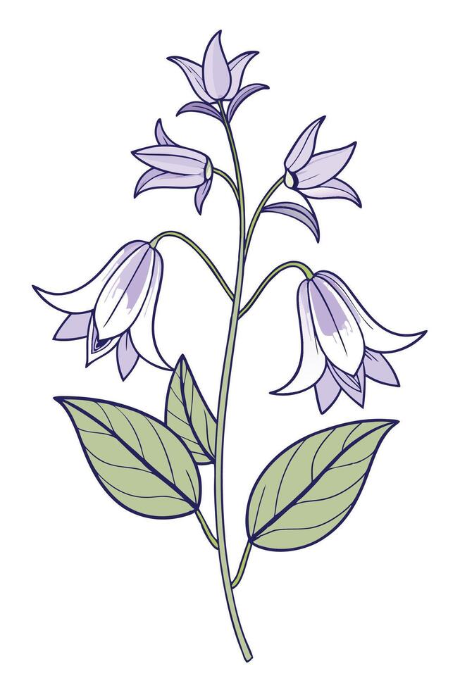 a drawing of a flower with purple leaves vector