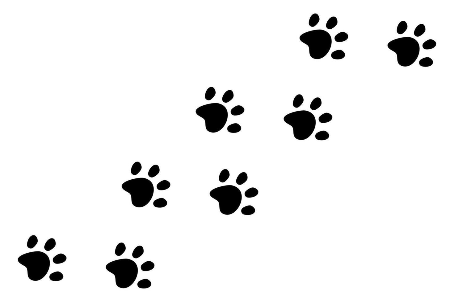 Paw print, dog or cat walk foot trace border. Pet footsteps trail. Simple silhouette step line. Cute marks on white background. vector