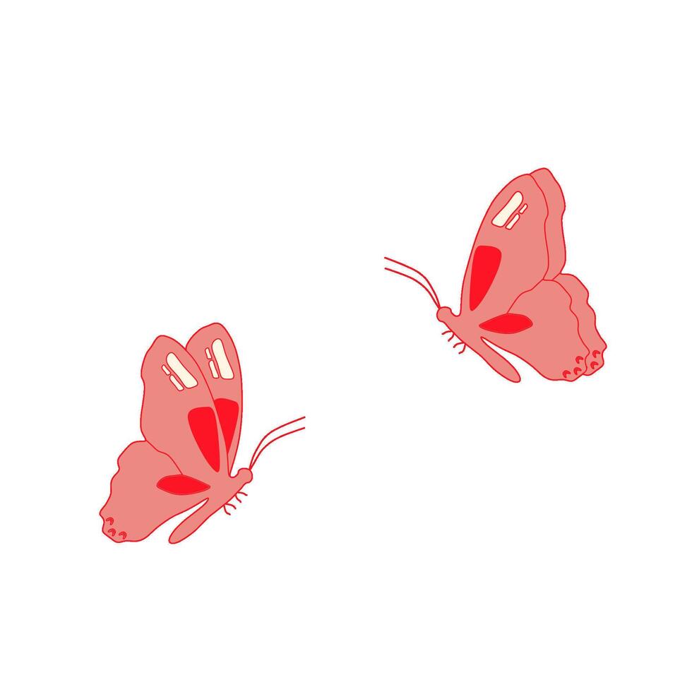 pink and red butterfly isolated on white background vector