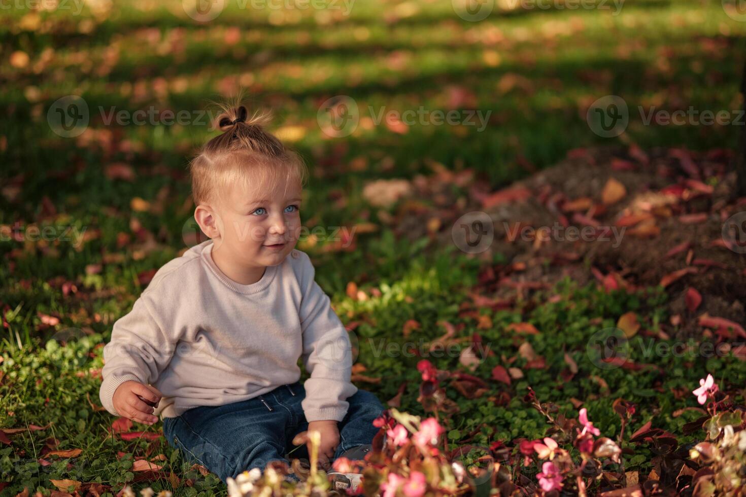 A happy toddler child sitting on the grass in the autumn park. photo