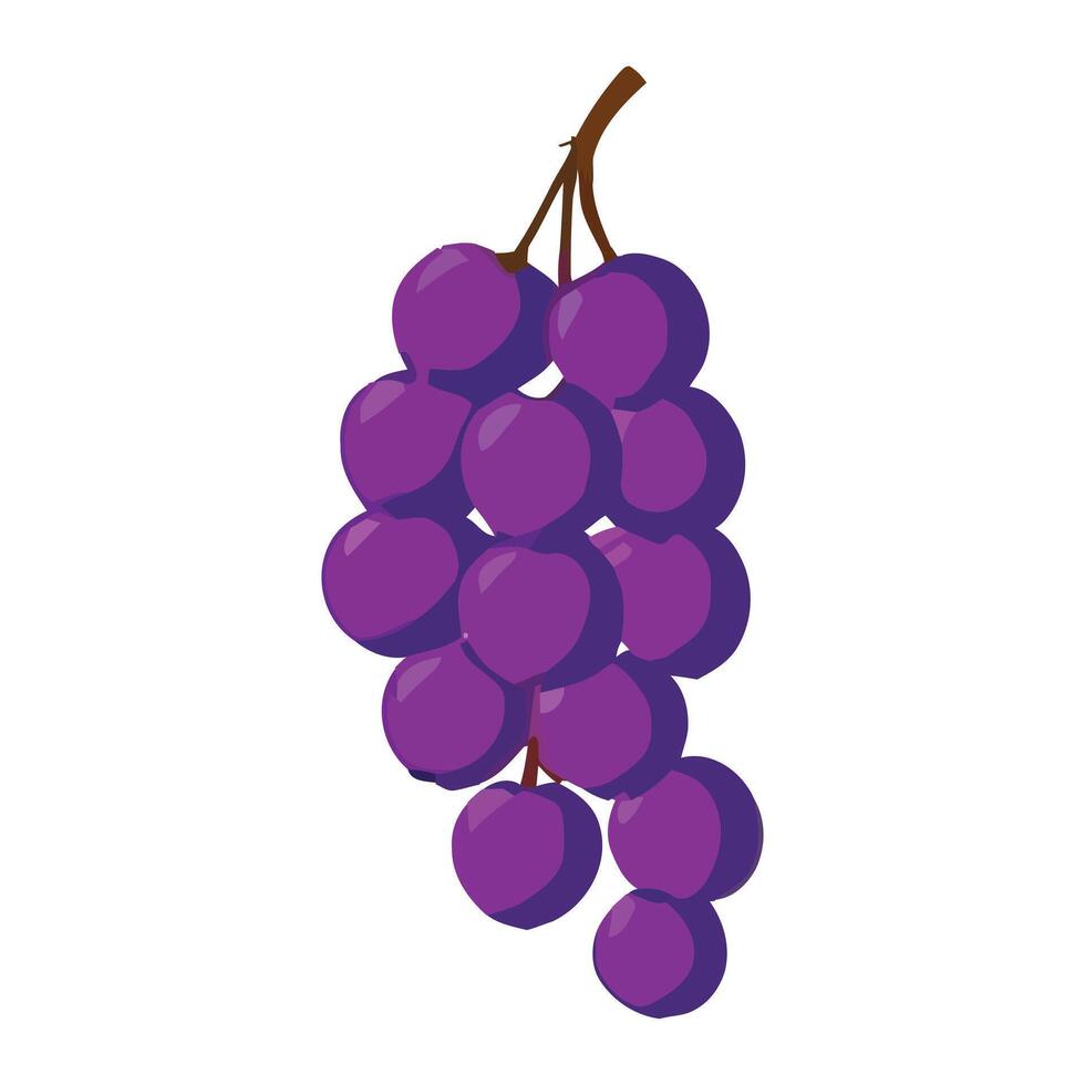 Cherry in cartoon style on a white background illustration vector