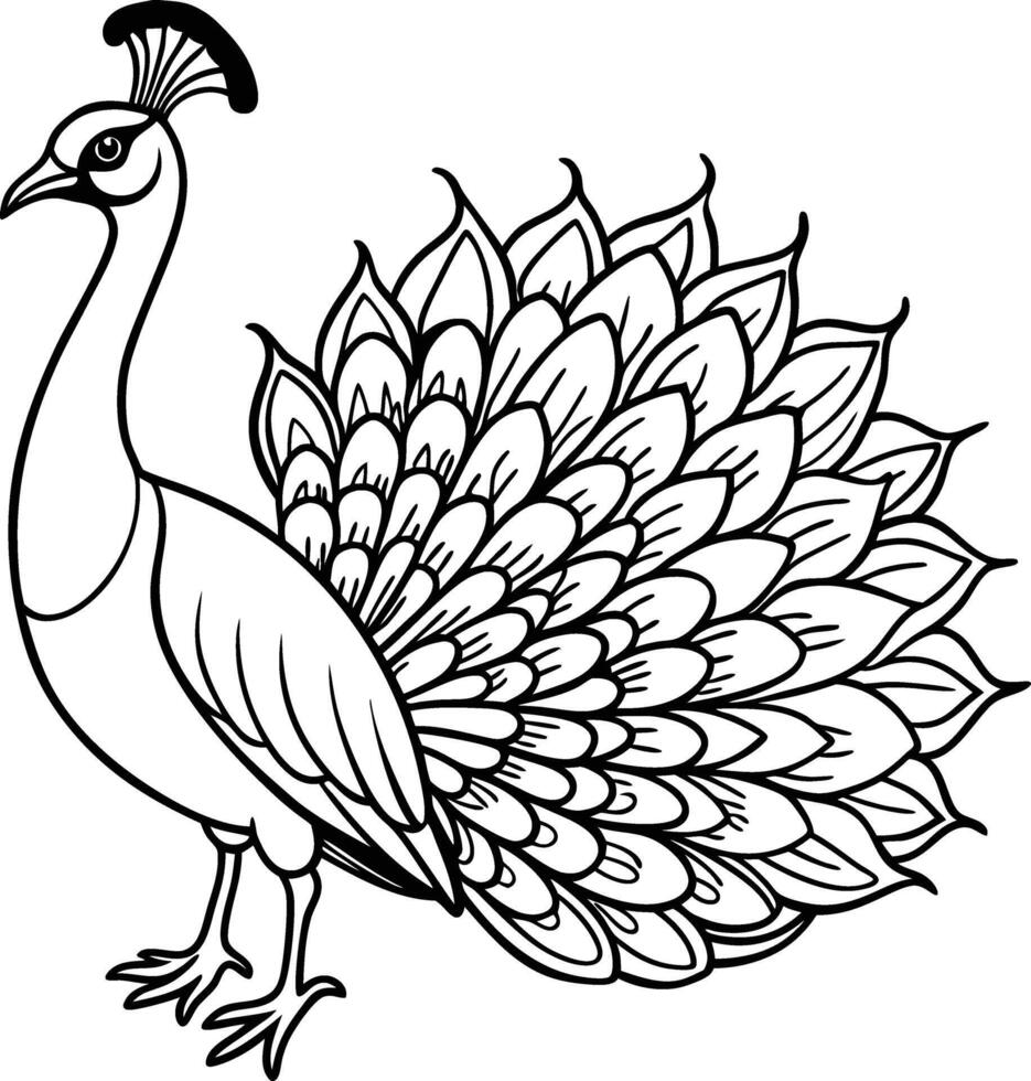 Black and white Peacock coloring pages vector