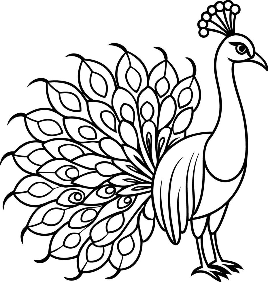 Peacock standing coloring pages vector