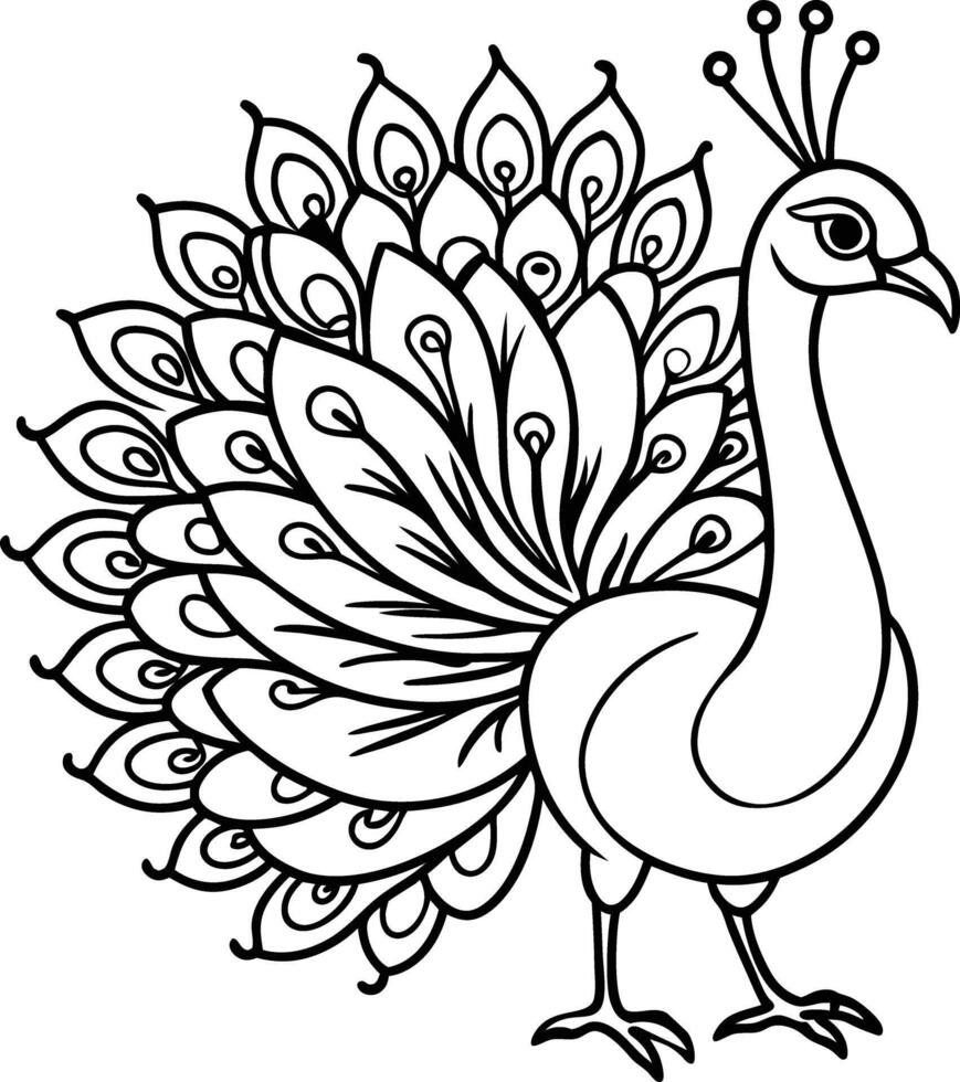 Cute Peacock coloring page vector