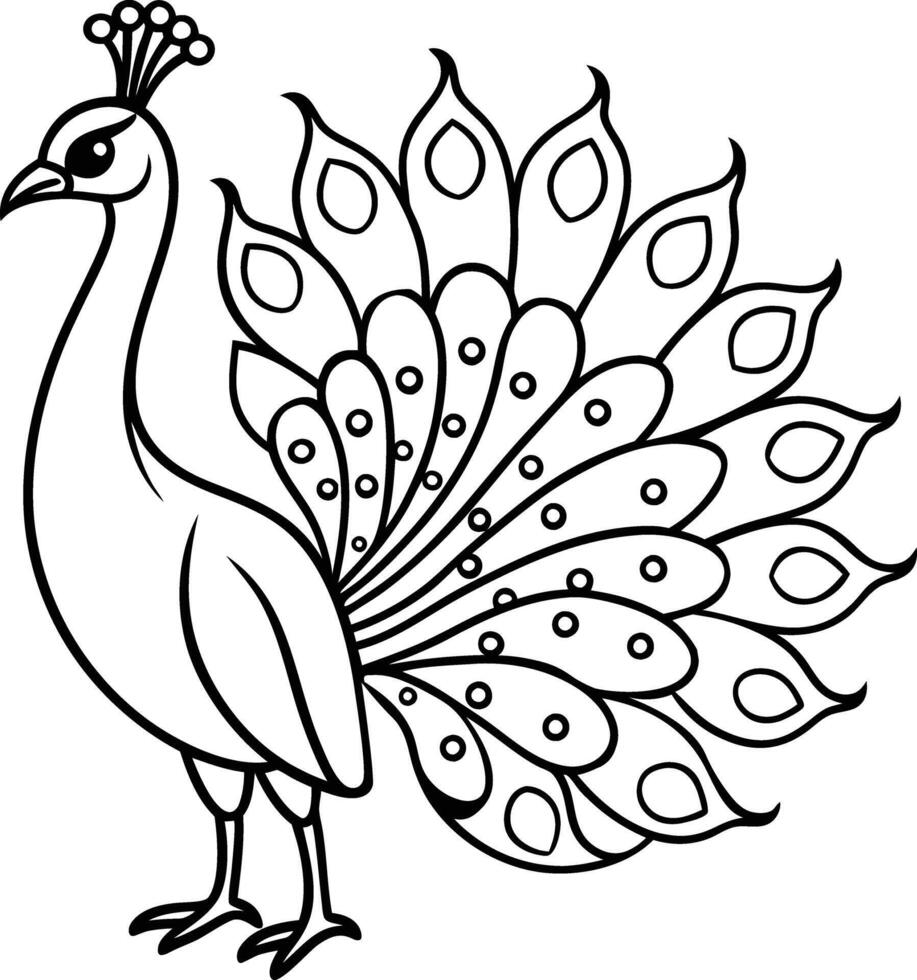 Peacock coloring page vector