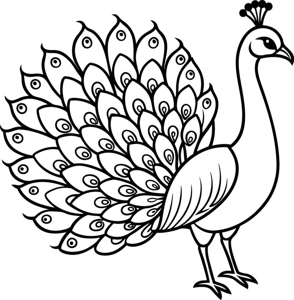 Peacock lineart coloring pages vector