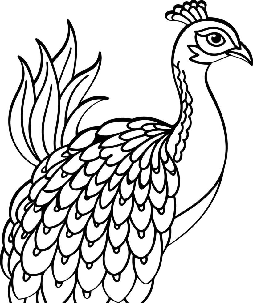 illustration of Peacock coloring pages vector