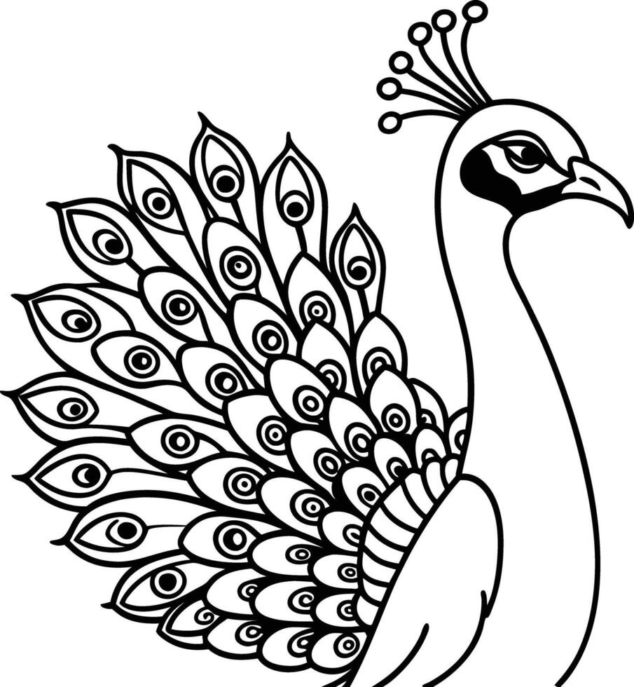 Peacock outline coloring pages vector
