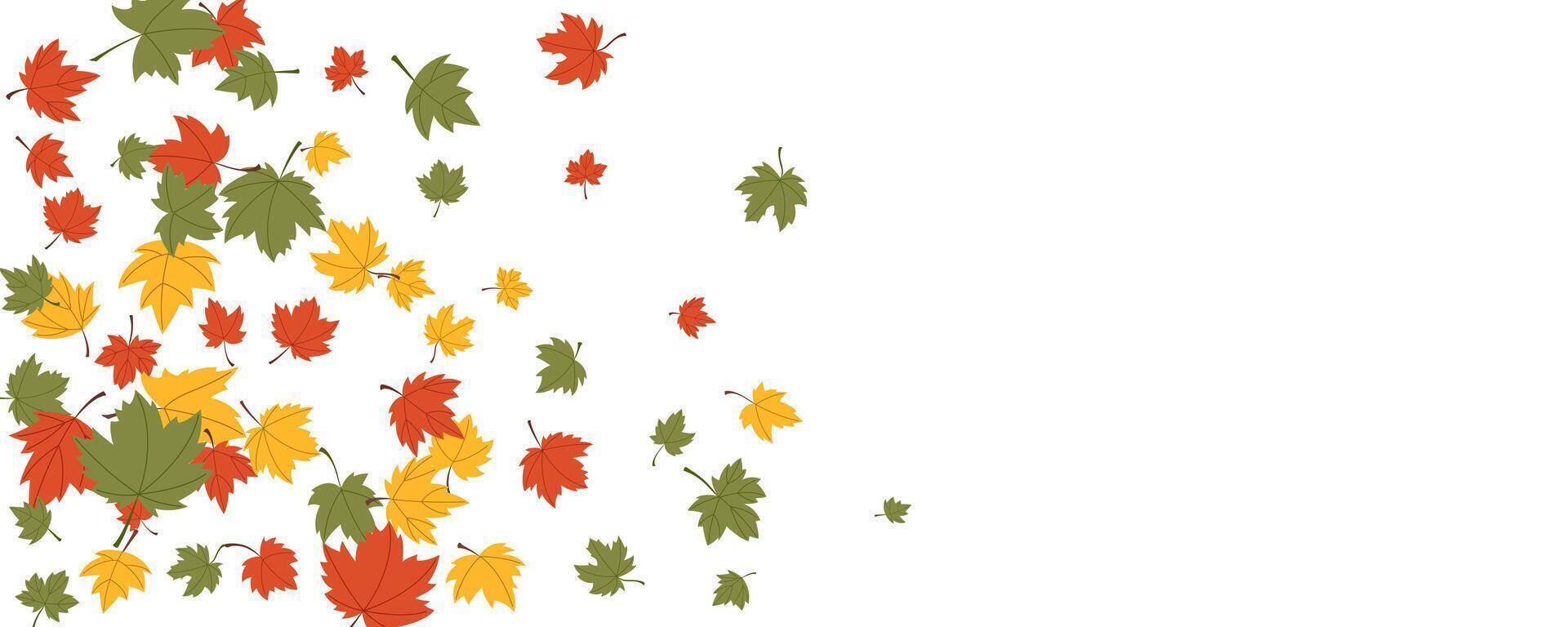 Maple leaves natural seasonal design elements illustration decoration card, background space for text vector