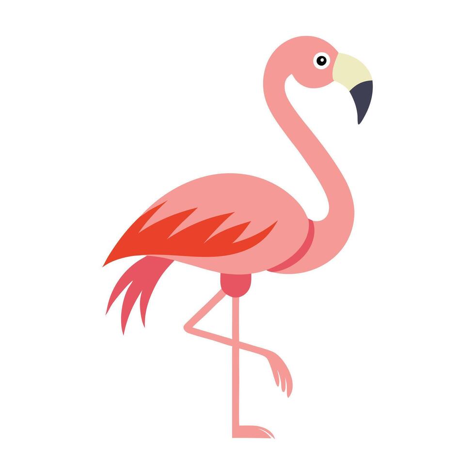 Flamingo cartoon illustration illustration vector