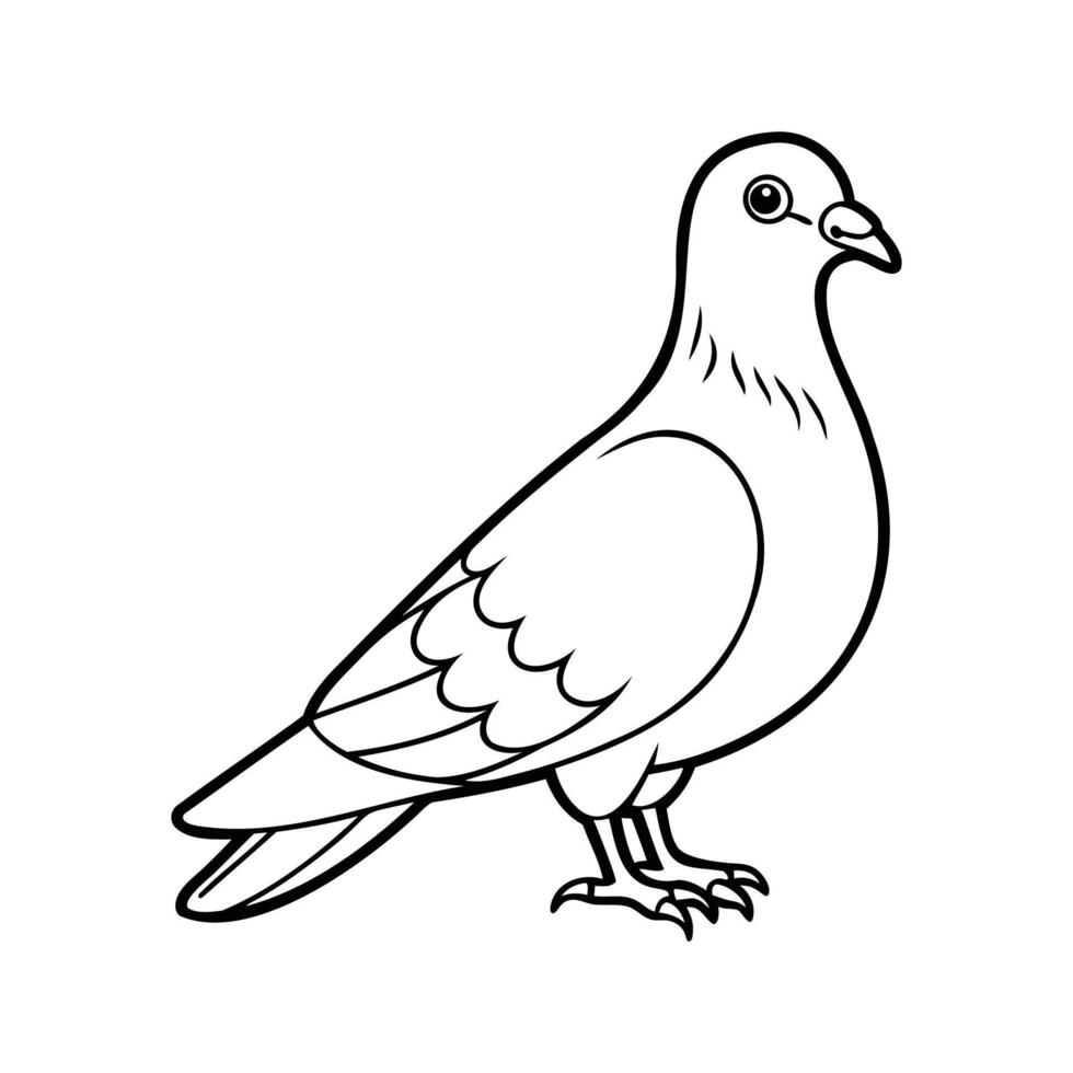 Coloring pages for kids - pigeon vector