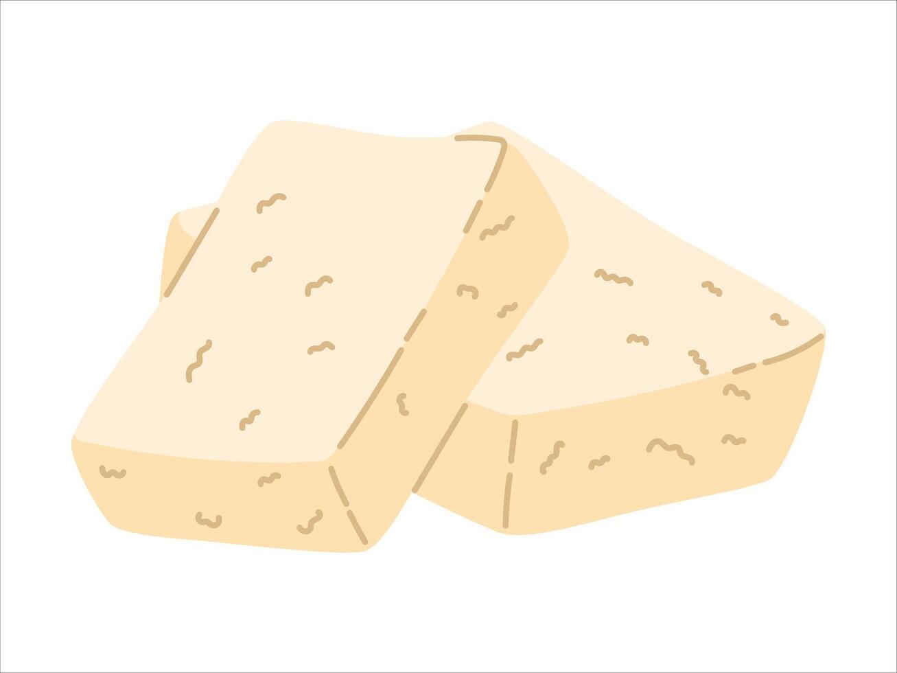 Piece of traditional Mediterranean goat white cheese brynza. isolated on white food illustration. vector