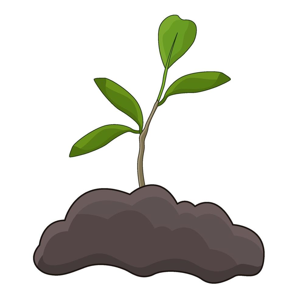 illustration of tree planting vector