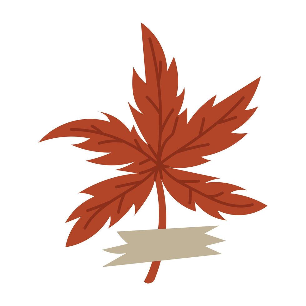 flat illustration of an autumn leaf from the herbarium. Japanese maple. Dried flower on white. decorative element of floral design. Herbs, leaves of plant with a piece of tape. botanical illustration vector