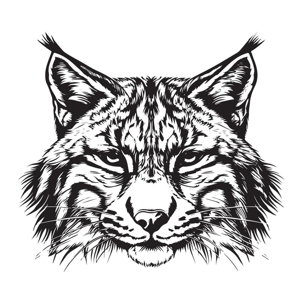 Lynx head on white background vector