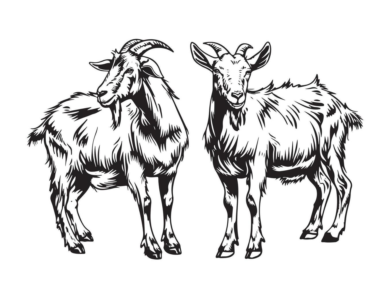 Set of hand drawn goats sketch. vector