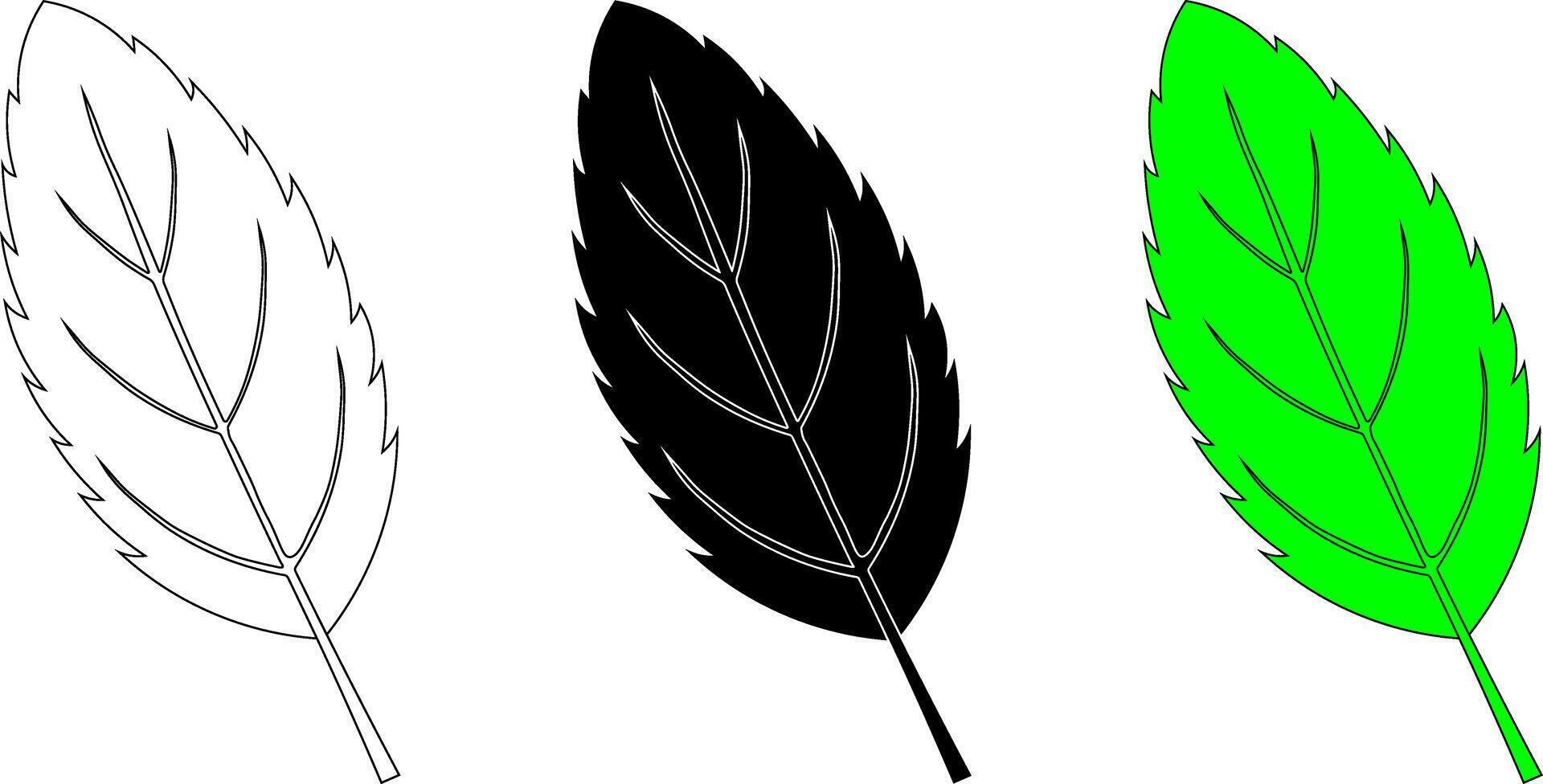 outline silhouette Mentha leaves icon set vector