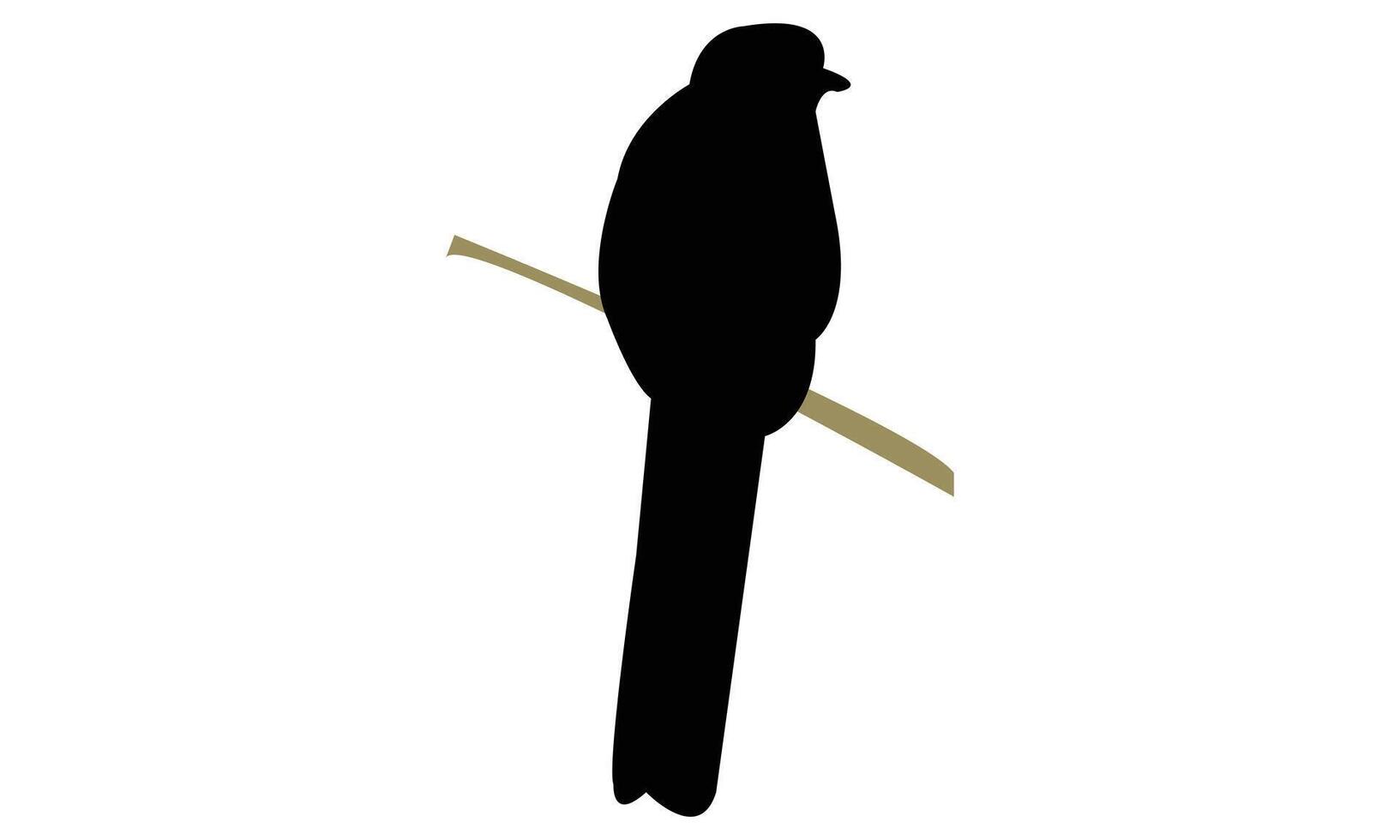 Red Headed Trogon Black Silhouette vector