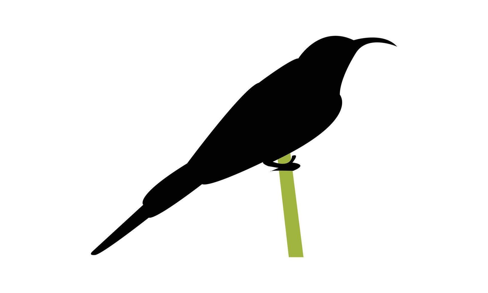 Red Headed Trogon Silhouette vector