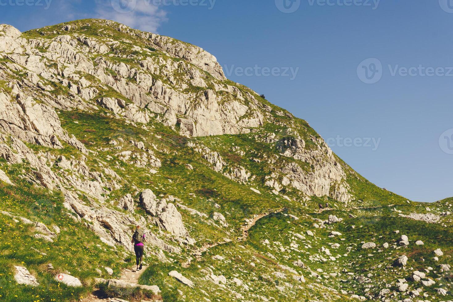Young Woman Hiking Alone in Summer Mountains photo