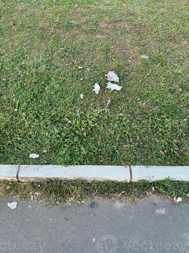A close view of a lawn with green grass and scattered litter, bordered by a curb and part of an asphalt pavement, environment pollution photo