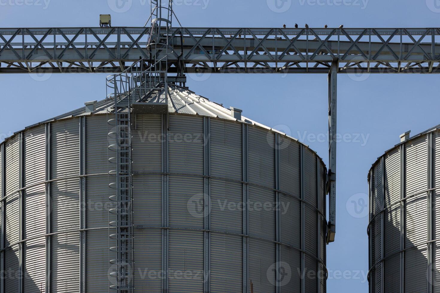 metal grain silos with elevator loading constructions photo