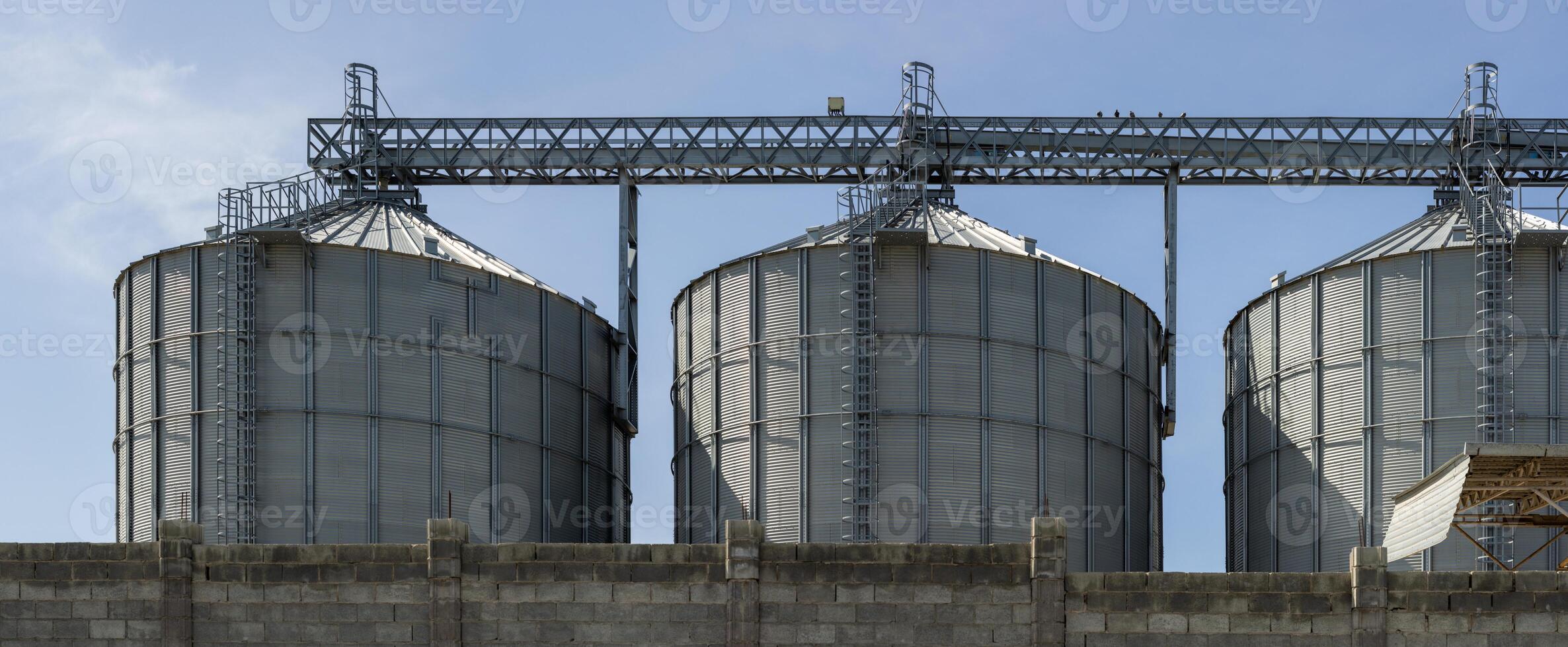 metal grain silos with elevator loading constructions photo