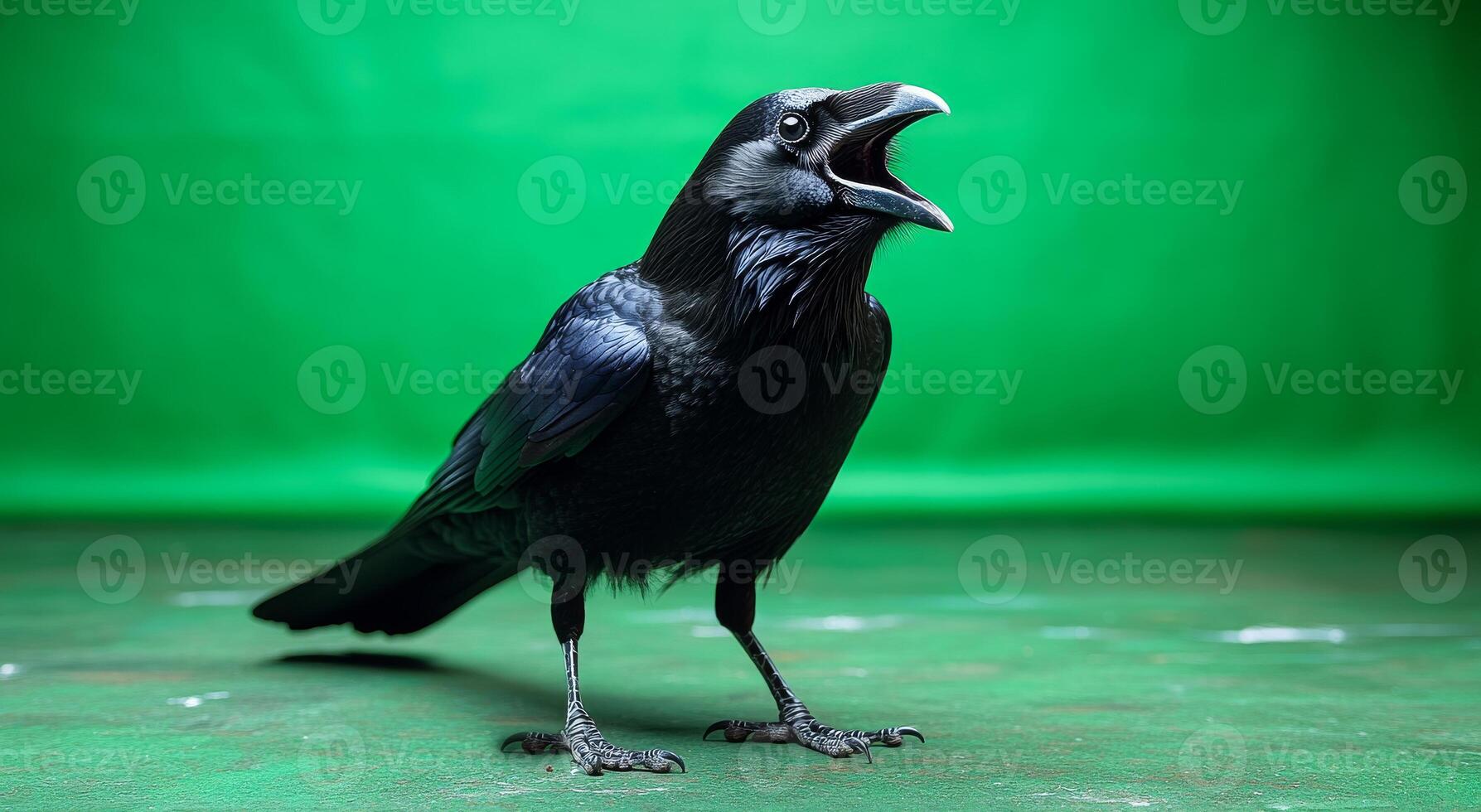 A black crow is standing on a green surface, its beak open and its eyes wide. The bird appears to be in a state of surprise or fear, as if it has just heard something unexpected photo