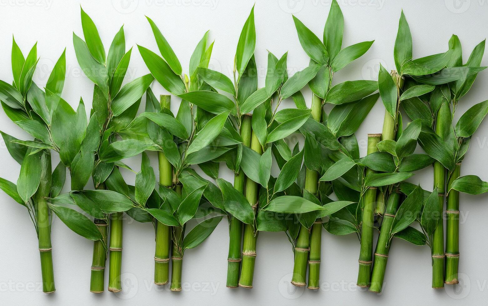 A bunch of bamboo leaves are arranged in a row. The leaves are green and appear to be fresh. The arrangement of the bamboo leaves creates a sense of order and harmony photo