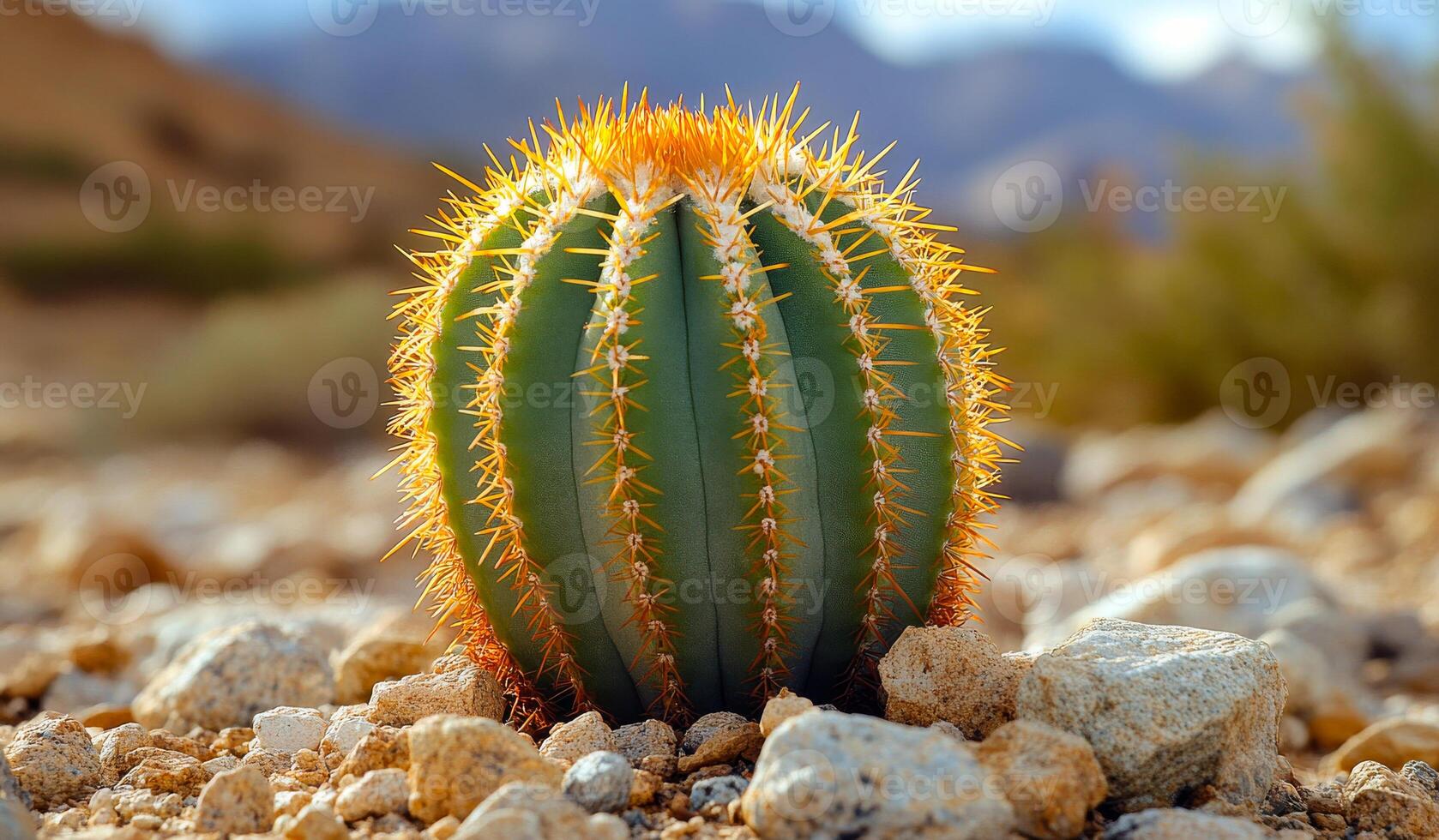 A cactus is standing on a rocky surface. The cactus is green and has a yellow center. The rocky surface is dry and barren photo