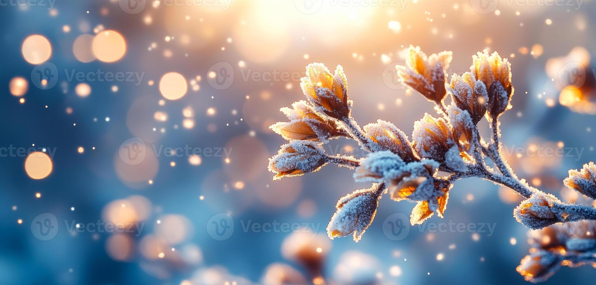 A branch covered in snow and frost. The snow is falling and the sun is shining on the branch photo