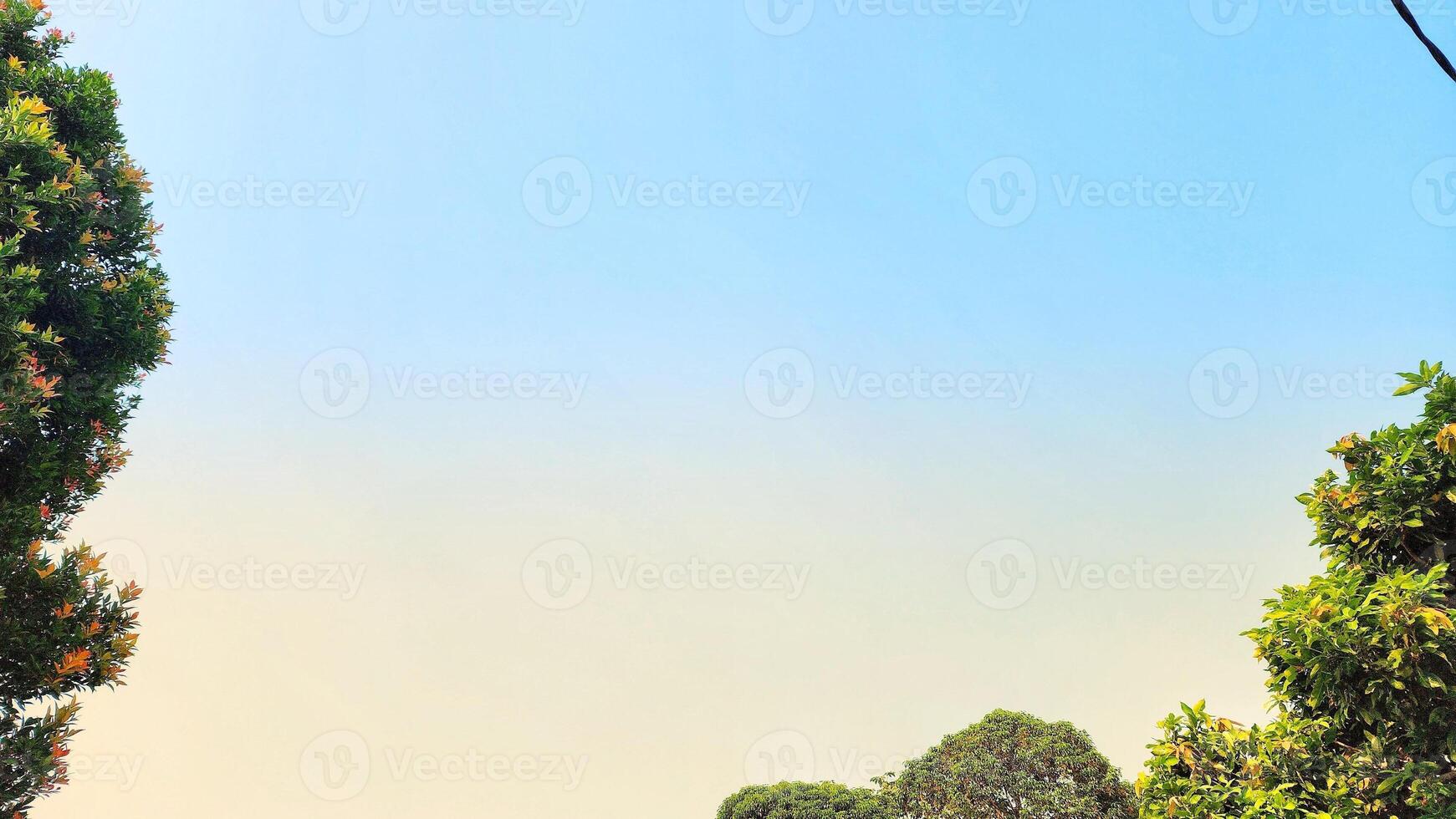 view above the sky with beautiful clouds framed by shady trees photo