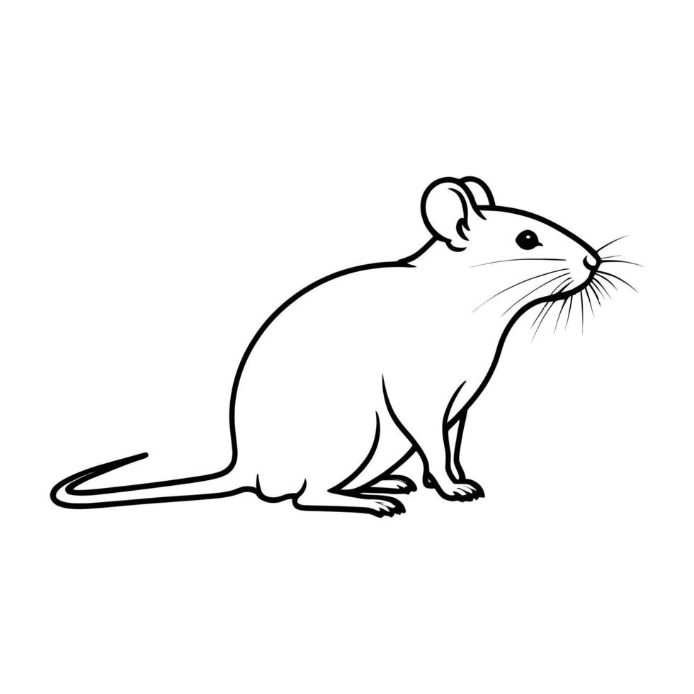 A rat is standing on its hind legs, with its head turned to the side vector