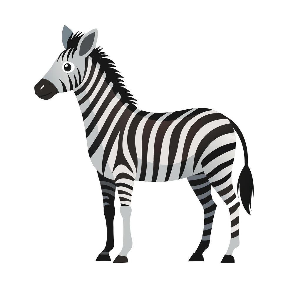 Zebra Illustration on White Background vector