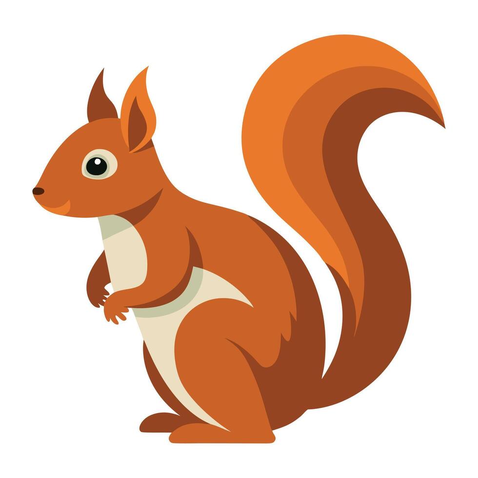 Squirrel Illustration on White Background vector