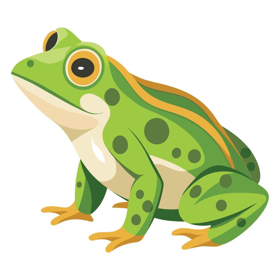 Frog Illustration on White Background vector