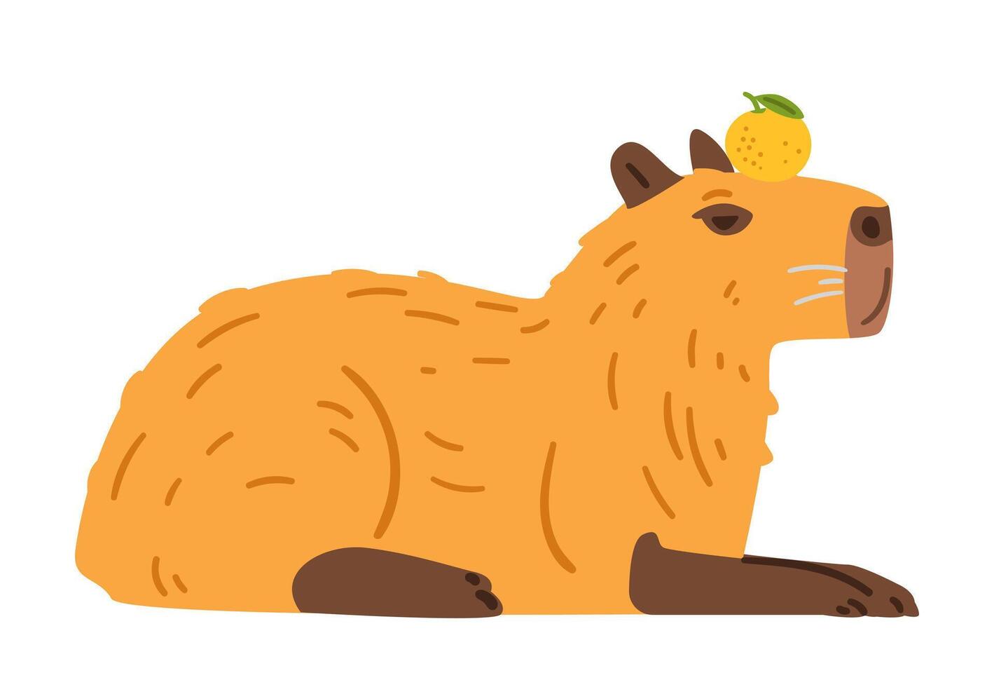 Cute capybara laying holding tangerine on it's head flat illustration isolated on white. vector