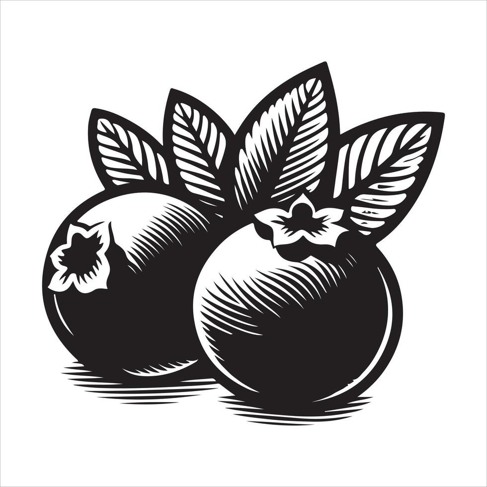 Blueberry silhouette illustration vector