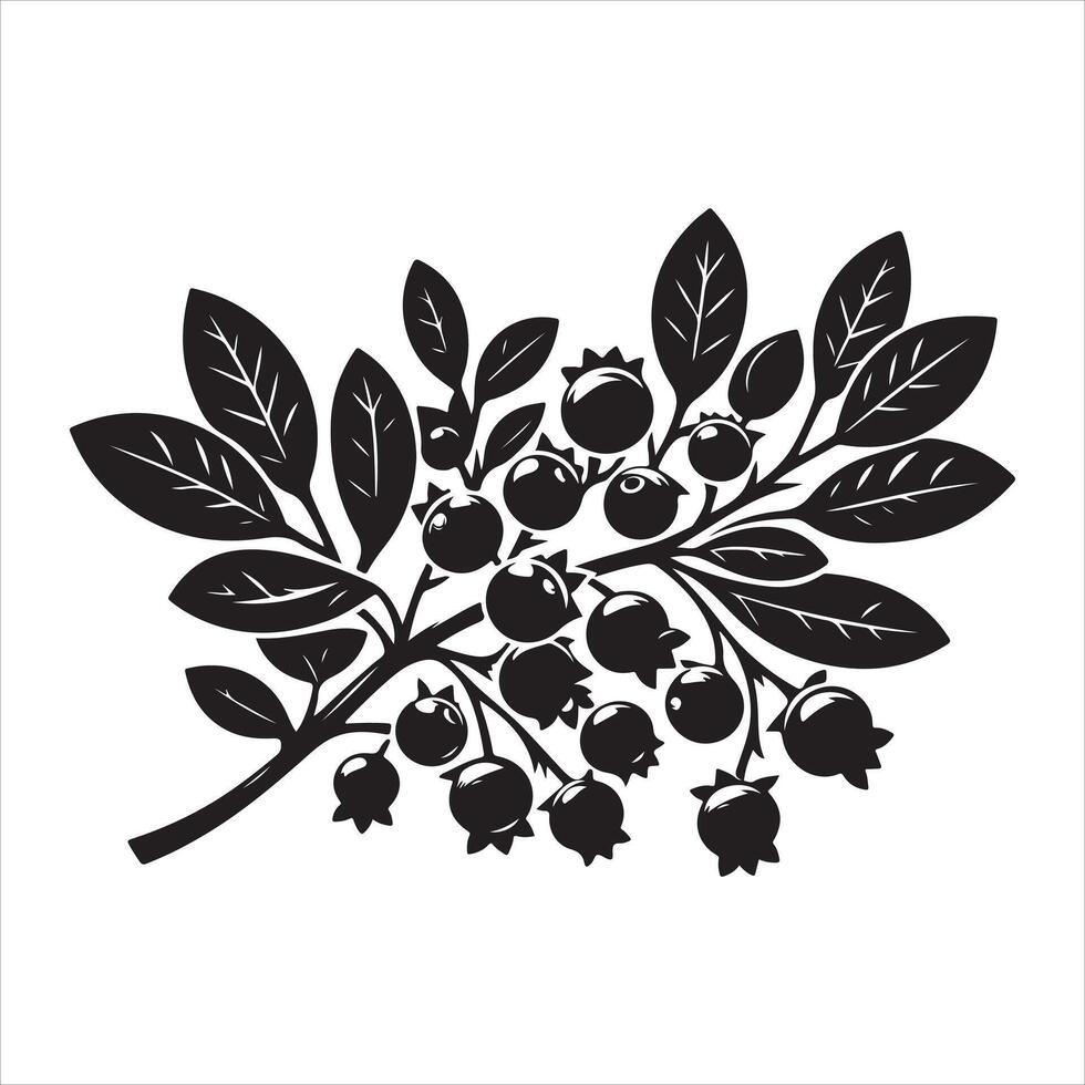 Blueberry silhouette EPS file vector