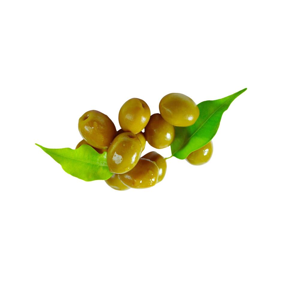 Fresh olives icon Realistic illustration of fresh olives icon for web design photo