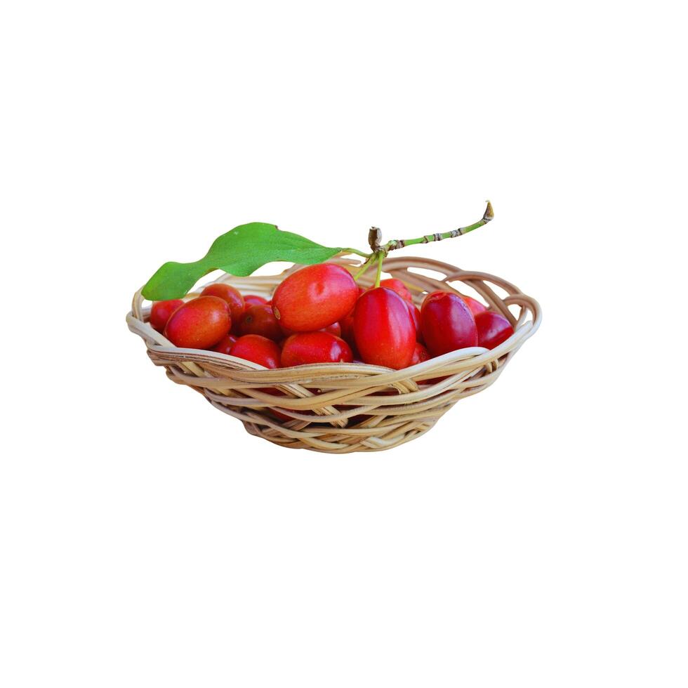 Cornelian cherry with leaves on a branch freshly picked transparent background photo